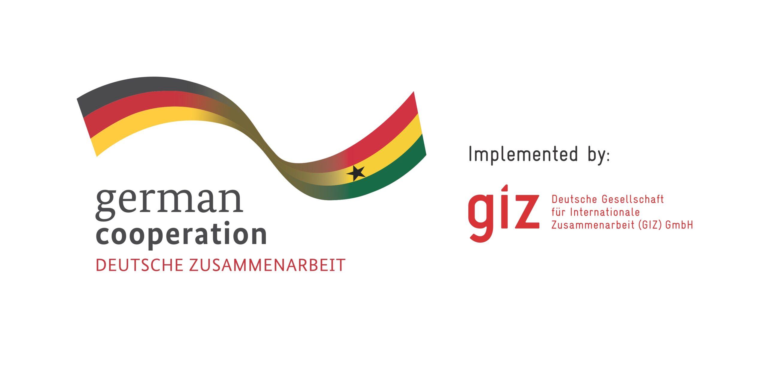 GIZ Logo